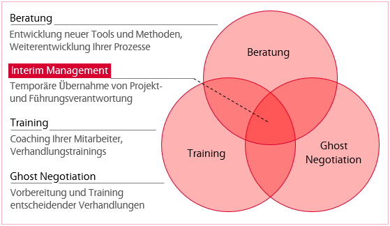 Interim Management